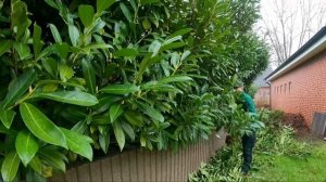 ХОЗЯИН СКАЗАЛ, что мы заслуживам ДВОЙНОЙ ОПЛАТЫ за работу