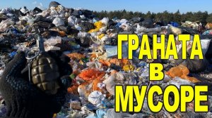 Поход на свалку - Что мы нашли в мусоре?