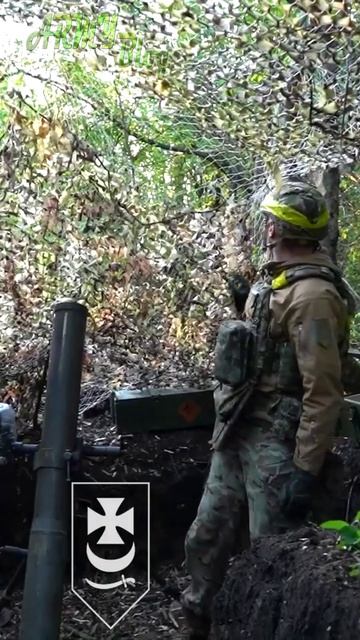 Как изменились ВСУ за 4 года? Элита и бусифицированные смотреть онлайн