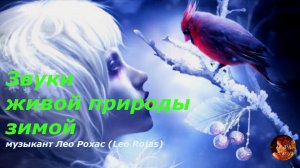 ЗИМА... и опять всё впервые | Звуки живой природы | музыкант Лео Рохас ( Leo Rojas)