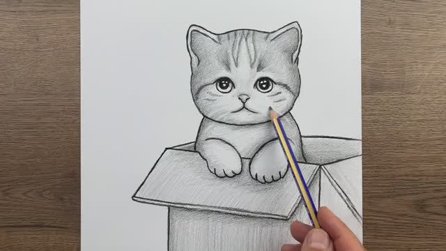Как нарисовать кота в коробке карандашом - Простые рисунки животных смотреть онлайн