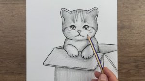 Как нарисовать кота в коробке карандашом - Простые рисунки животных