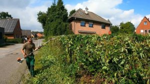 "Я БОЛЬШЕ НЕ МОГУ" — говорит ХОЗЯИН о своей РАЗРОСШЕЙСЯ изгороди