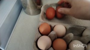 Яйценоскость кур зимой. Уборка в курятнике. Жизнь зимой на юге.