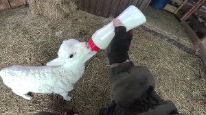 Собираю Ниву ! Полка под колонки ! ХУТОР В ЛЕСУ №928