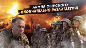 От Сырского до торговцев смертью: ВСУ превратилось в банду наркоманов и сержантов-контрабандистов!