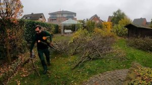 На то, чтобы подстричь и прибрать этот двор, ушло ЧЕТЫРЕ ДНЯ!