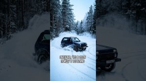 Нивотерапия