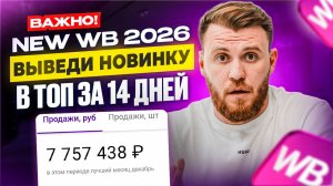Как за 14 дней вывести ТОВАР В ТОП на Wildberries | Готовый АЛГОРИТМ по дням для селлеров