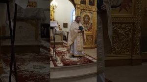 24.01.2026. Проповедь прот. Игоря Гагарина в субботу по Богоявлении