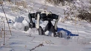 Испытание китайской робособаки в снегу и 30-градусный мороз.