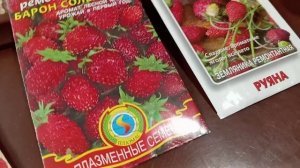 СЕЮ ЗЕМЛЯНИКУ ЛЕСНУЮ.