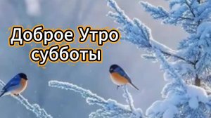 Доброе утро субботы ❄️ Зимние открытки!
