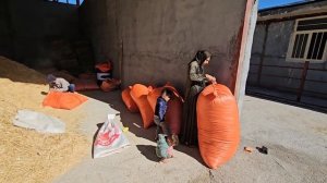 Первый покупатель фермы, Тайбех, ищет способ приобрести землю.