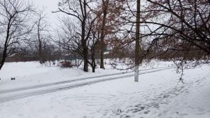 Бантики из теста! На улице весна ! Капель 💦! Юг России🪴