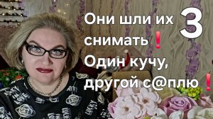 Они шли их снимать❗Один кучу, другой с@плю❗