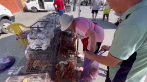 Где купили курей / Коза «Рая» за 7000₽ / Жара +28