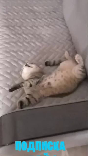 я Кайфую как всегда смотреть онлайн