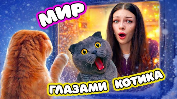 УШЕЛ ИЗ ДОМА! МИР ГЛАЗАМИ КОТИКА ПЕРСИКА | 24 ЧАСА ГЛАЗАМИ КОТА