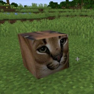 просмотр:жми в топ бро