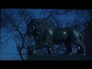 Переплетение судеб. Кинофестиваль «РАДОНЕЖ» 2016