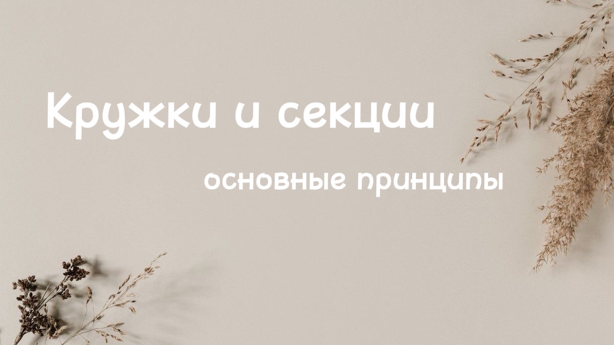 Кружки и секции: основные принципы смотреть онлайн