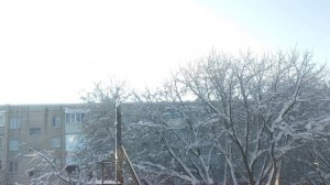 Снежный День