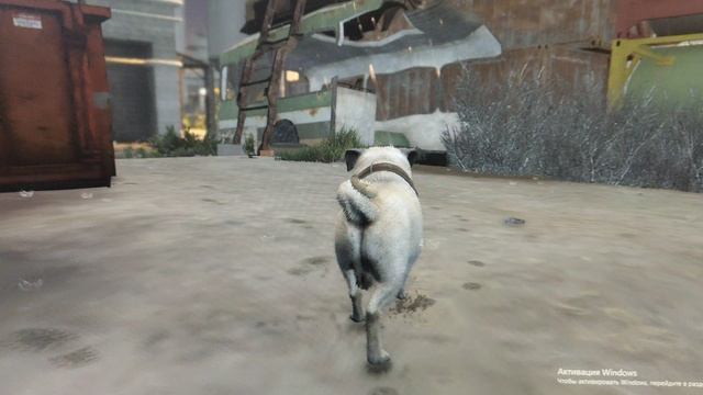 я мопс мне пофиг смотреть онлайн