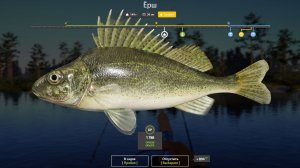 ЕРШ ТРОФЕЙНЫЙ!!!Р.БЕЛАЯ  - РУССКАЯ РЫБАЛКА 4.ДАТА 24.01.2026