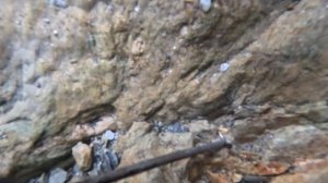 Поиск золота на дне реки!!