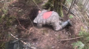 Охота на Барсуков