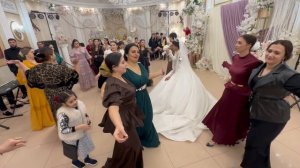 Одиссей и Настя Виват