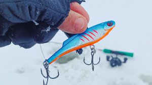 ДЫХАНИЕ ПЕРЕБИВАЕТ ОТ ЭТИХ УДАРОВ судака. ЭТА приманка РАЗДАЛА. Рыбалка зимой в 2026