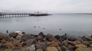 Море в Анапе video_2026-01-24_14-55-20