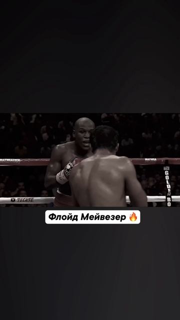 Вот это эстетика! смотреть онлайн