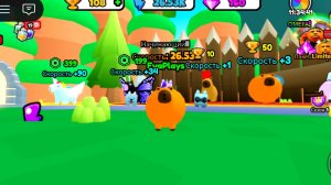 ГОНКИ КАПИБАР!!! КТО ЖЕ ПОБЕДИТ?