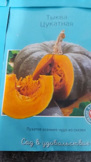 Хорошие для меня сорта тыквы. смотреть онлайн