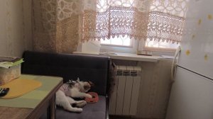 Мукбанг 💥От Любаши и Алисы 😄,нам было очень вкусно ‼️