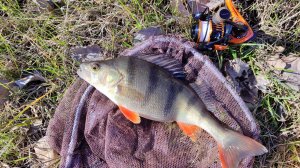 МОРМО СПИННИНГ, РЫБАЛКА В УДОВОЛЬСТВИЕ😎😎😎