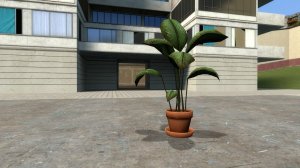 Цветок смерти.