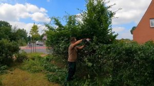 Сосед сказал: НАКОНЕЦ-ТО кто-то прибрал ЗАПУЩЕННЫЙ палисадник