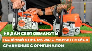 Stihl MS 250 за 8500р? ШОК! Что на самом деле пришло с маркетплейса?