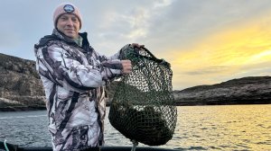 Как водолазы собирают "русское золото" на дне Баренцева моря. Добыча морских ежей. Как это сделано