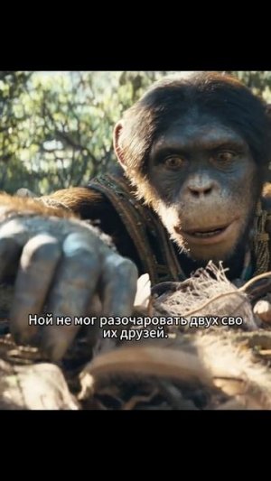 Краткий пересказ фильма