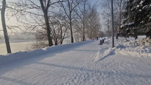 Однажды морозным зимним днём...