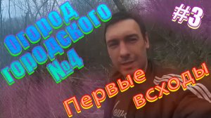 12 апреля 2021