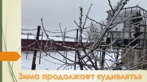 Ну какая же зима без мороза с дождем. У нас обледенение 24.01.2026