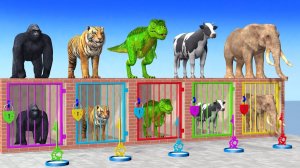 Long Slide Game With Cow Elephant Gorilla Hippopotamus Tiger - 3d Animal Game - Funny 3d Animals-18