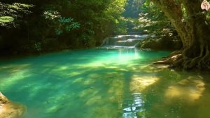 Новый мир  1 часть