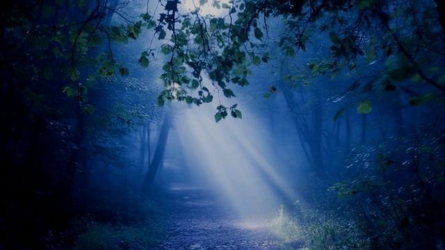 Pravohor. Перо, бумага, ночь.